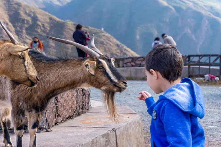 VIAJAR AL NORTE ARGENTINO CON NIÑOS